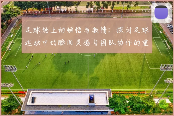 足球场上的顿悟与激情：探讨足球运动中的瞬间灵感与团队协作的重要性