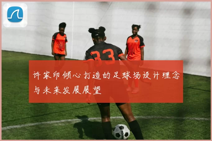 许家印倾心打造的足球场设计理念与未来发展展望