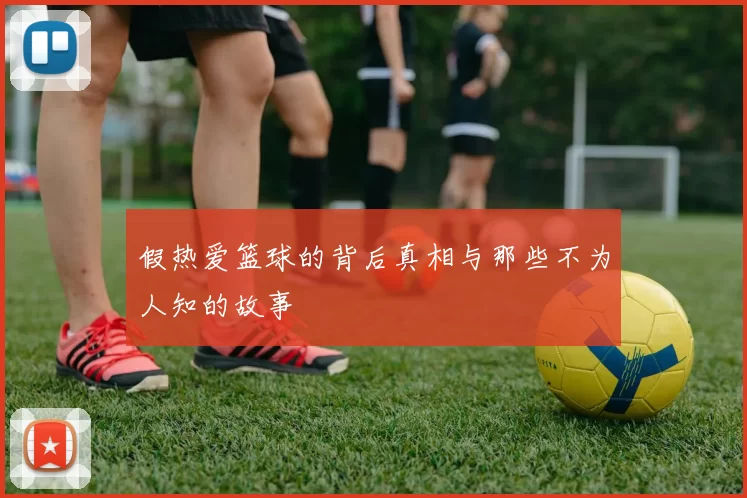 假热爱篮球的背后真相与那些不为人知的故事