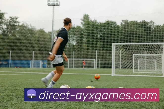 爱游戏平台生态图